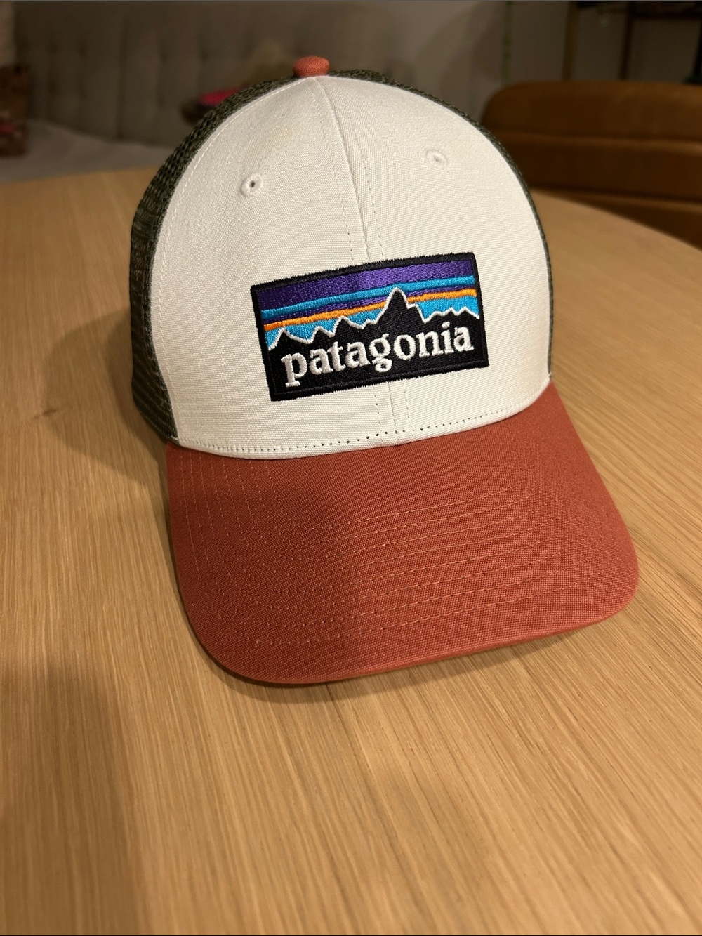 Patagonia Trucker Hat